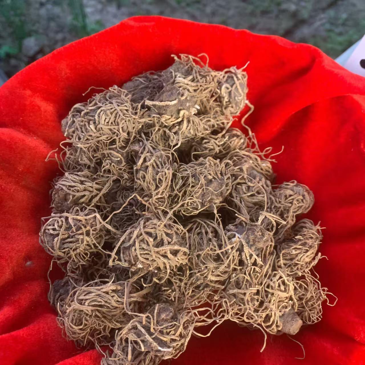 1【延-L-珠】净含量:100g-200g【小英现收】