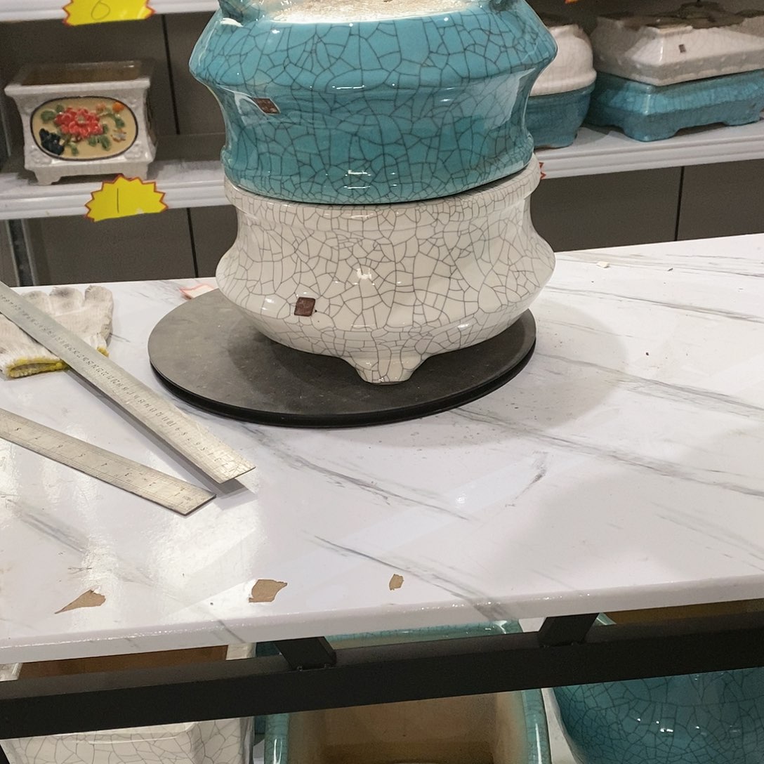 花盆里种着的植物有哪些