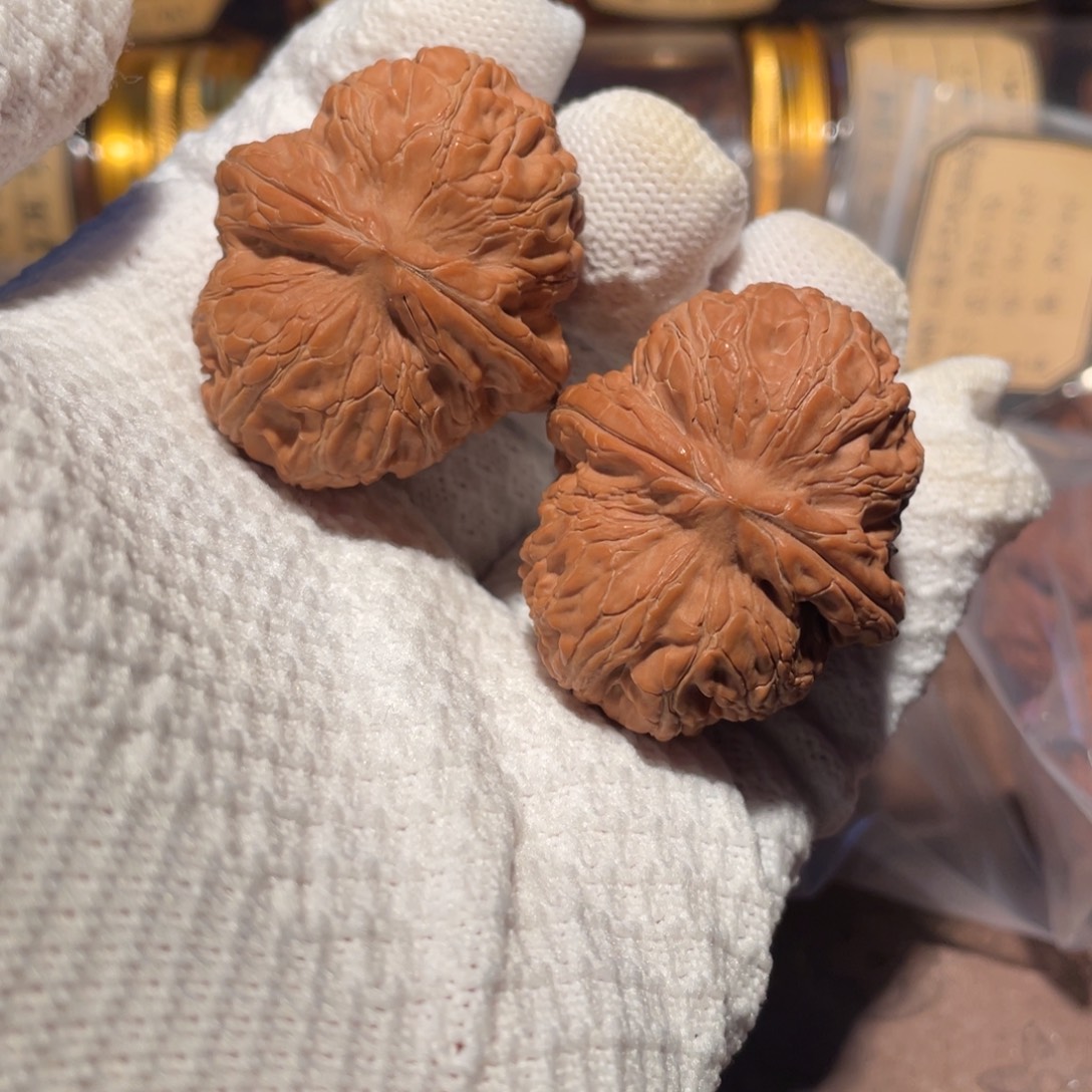 核桃44元宝bbbbbbbb