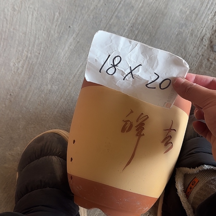 紫砂工厂直发1111