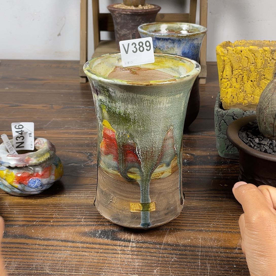 默认微次 限时福利 坛子姐花盆