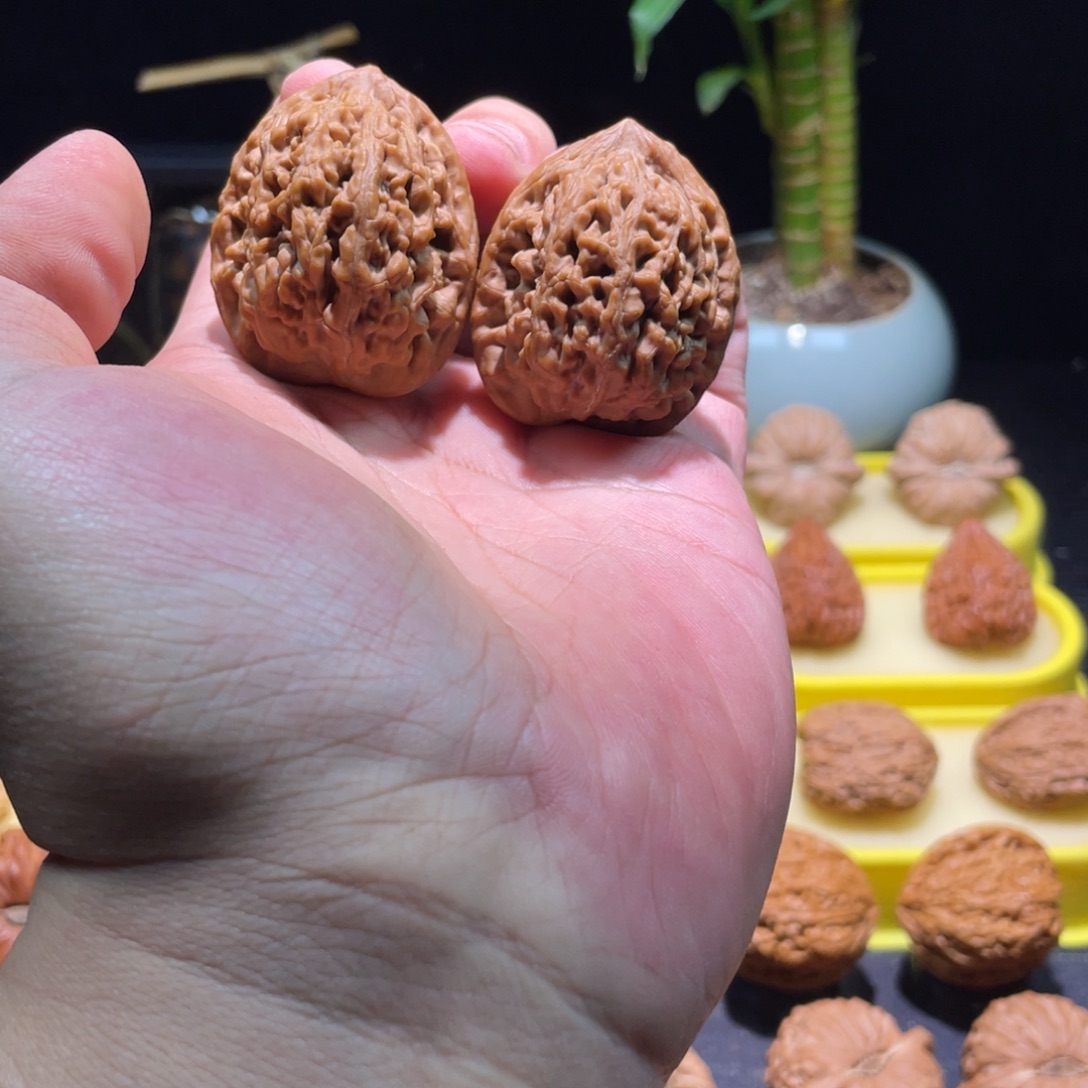 把件文玩核桃36全品满肉红皮老款小众蚂蚁王