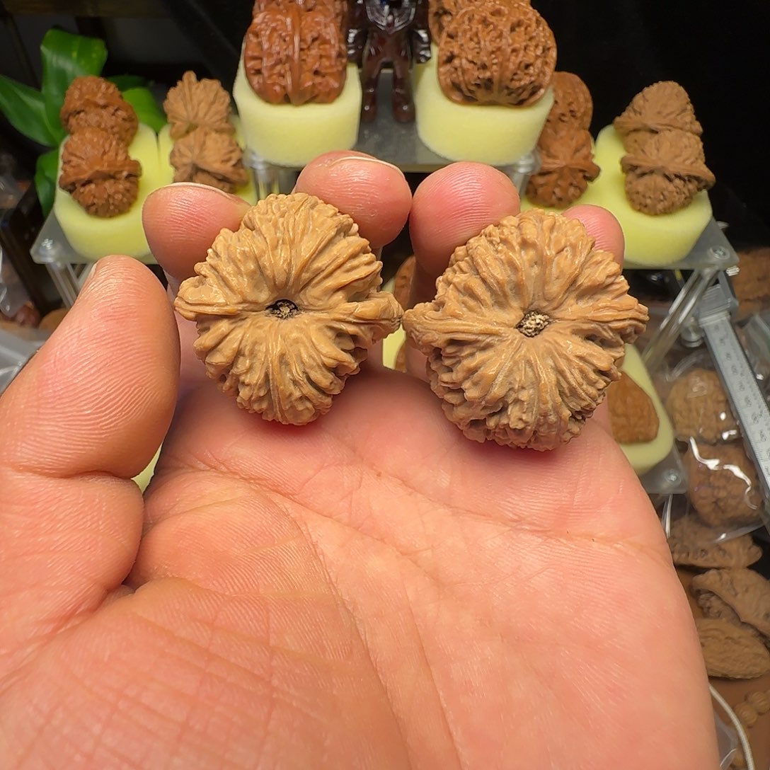 文玩核桃把件全品逐鹿大凹底小高炮