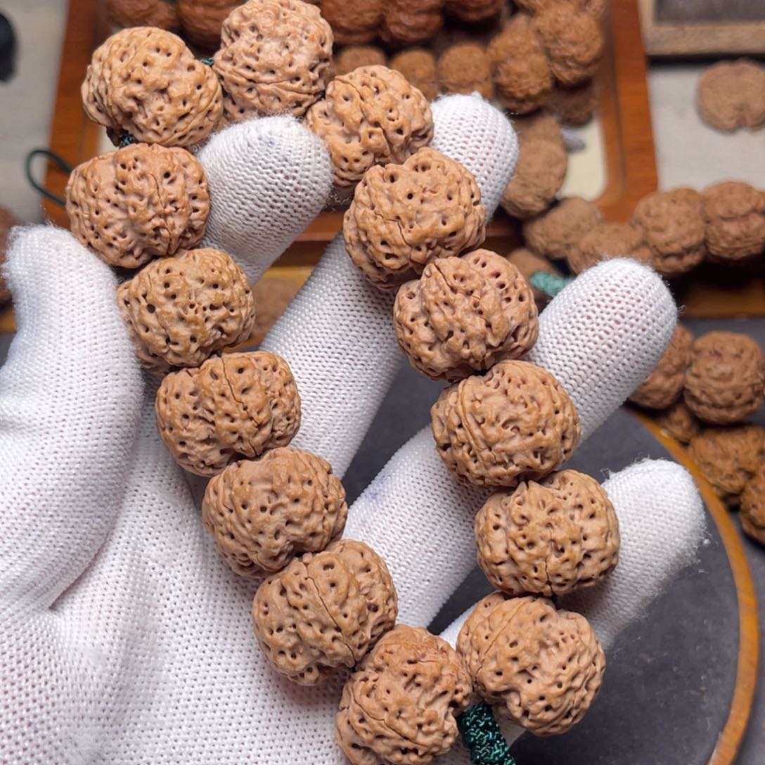 金刚菩提手串半*、古龙雪山梅花头货23尺