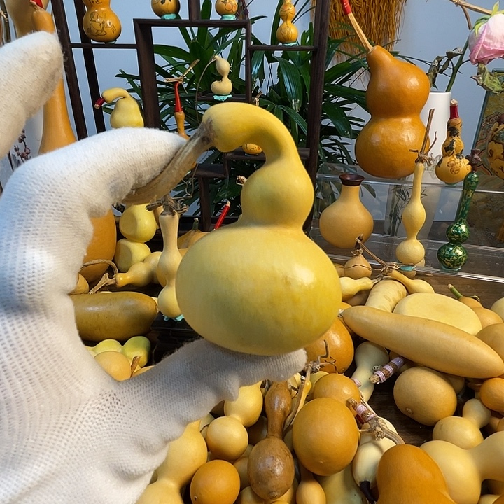 J***多藤手把葫芦精品系列27