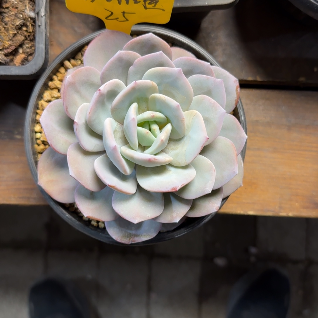 ღ***࿐1111111111111111111111