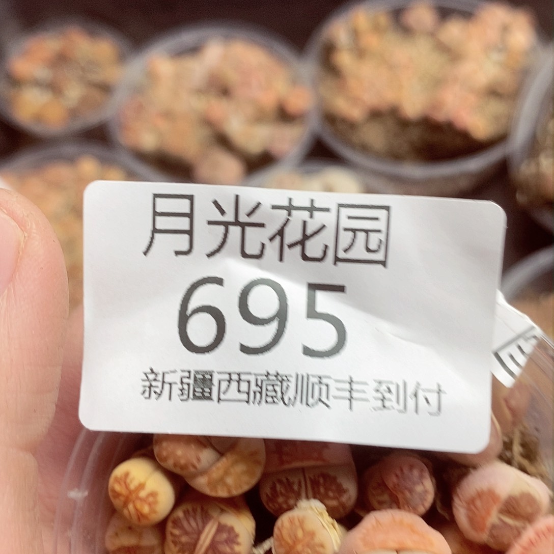 我的心都碎了我还没695