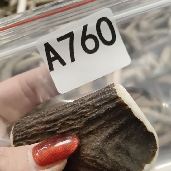 菜***羊鹿角鹿角鹿角鹿角鹿角鹿角