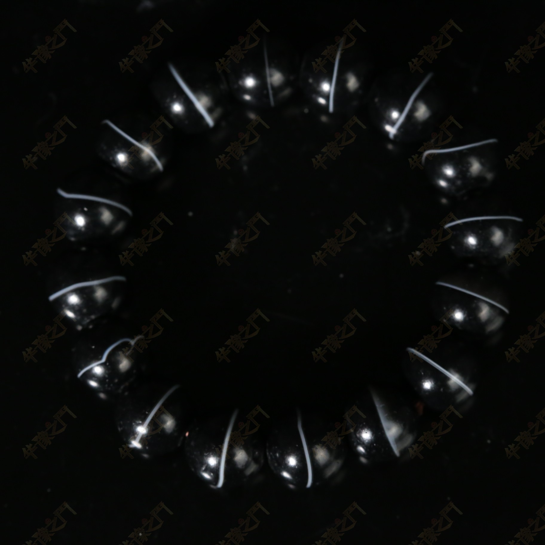 十九世纪一线药师珠手串【华豫之门】ABS251115001