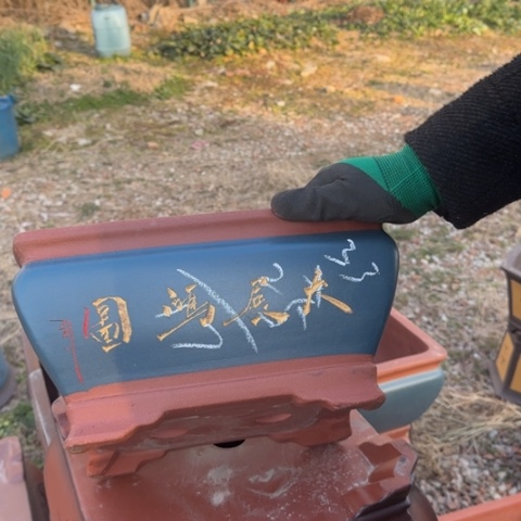 红陶紫砂花盆盆景盆栽