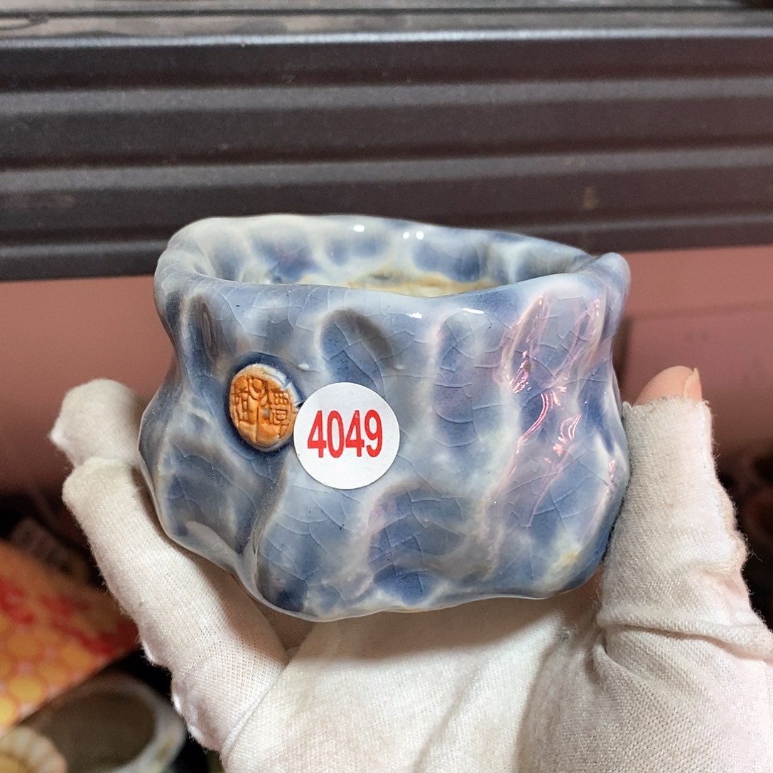 红陶处理的，处理