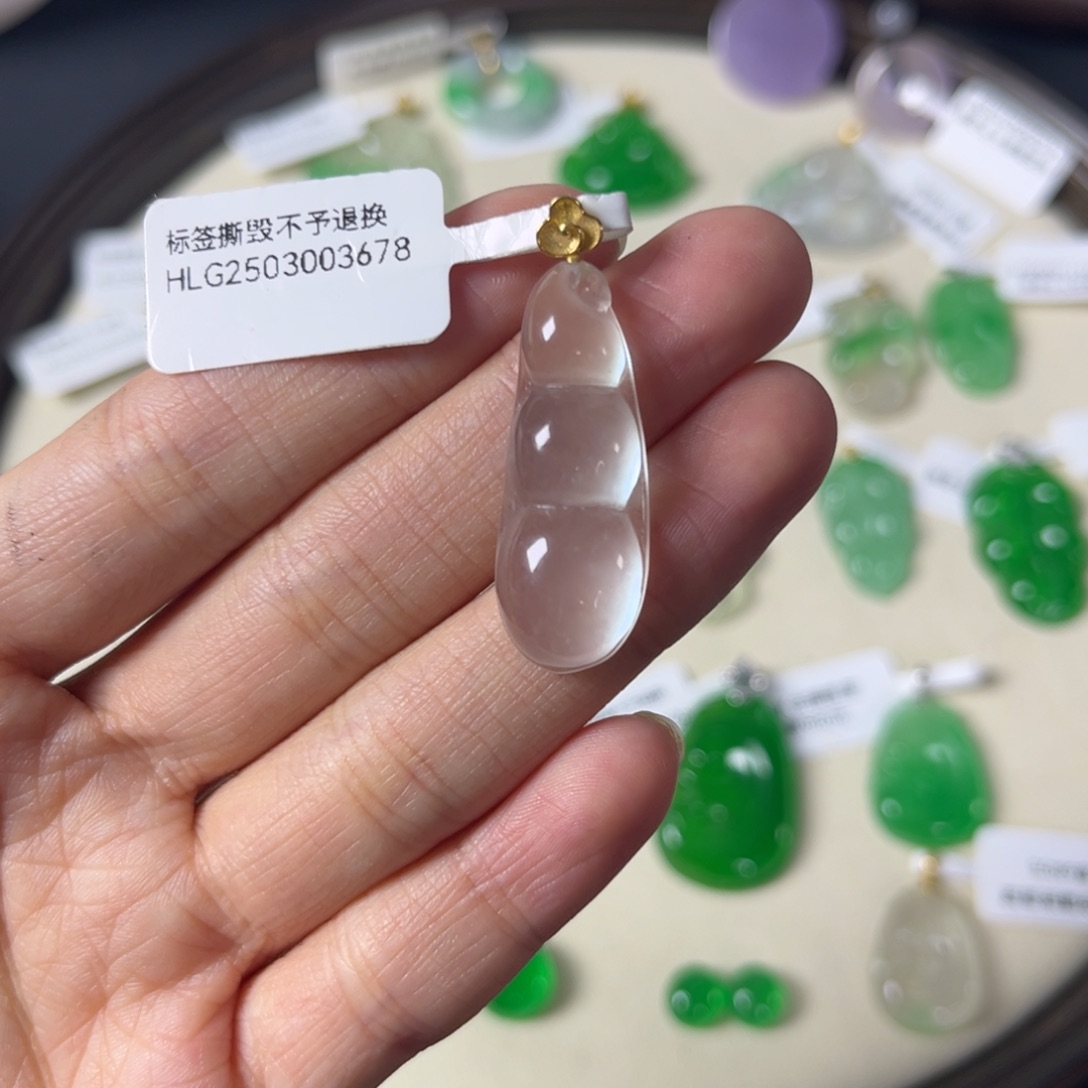 奥**?福豆直播编号Y3678