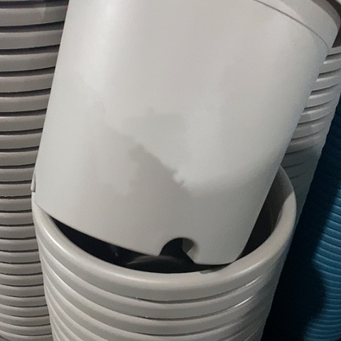 树脂四季4号微瑕灰白无托8个