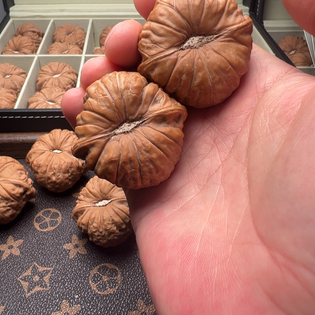 护***寺175-1112 护国 44