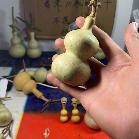 三***月哈哈哈哈哈哈哈哈哈哈哈