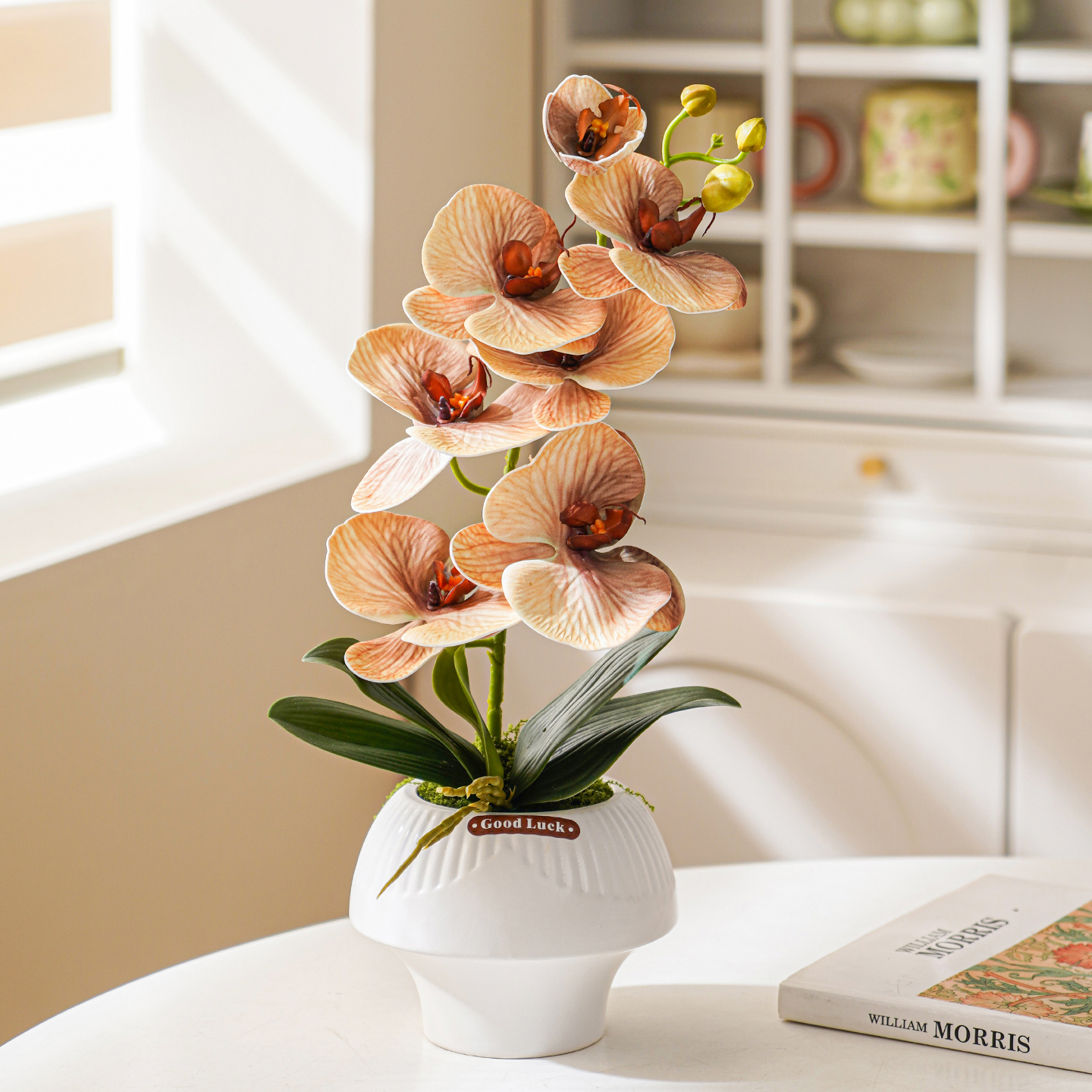 蝴蝶兰假花客厅餐桌绿植装饰中国风真花艺摆设