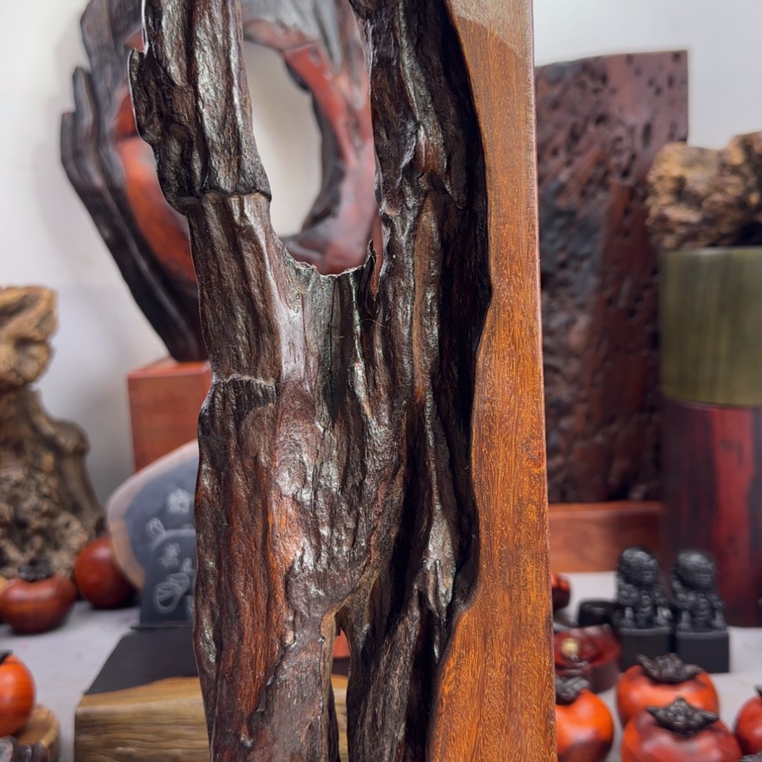 大果紫檀（缅甸花梨）野*