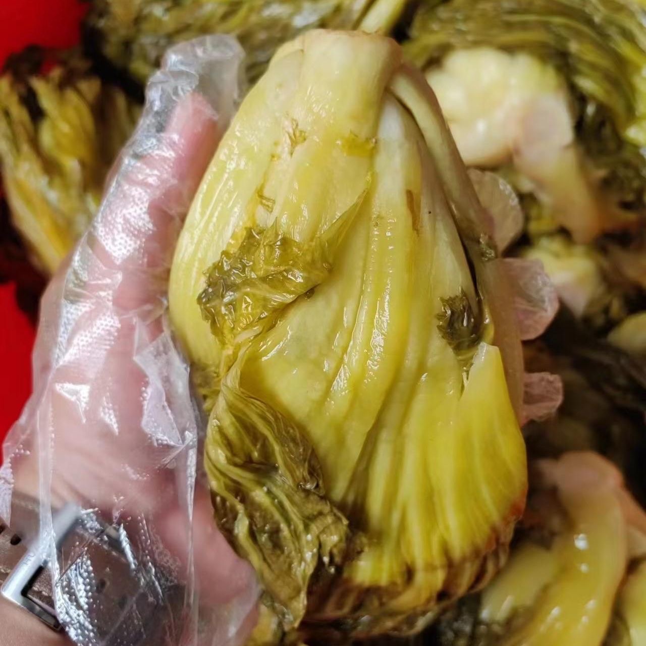 农家水酸菜坛子酸腌制酸菜手工制作