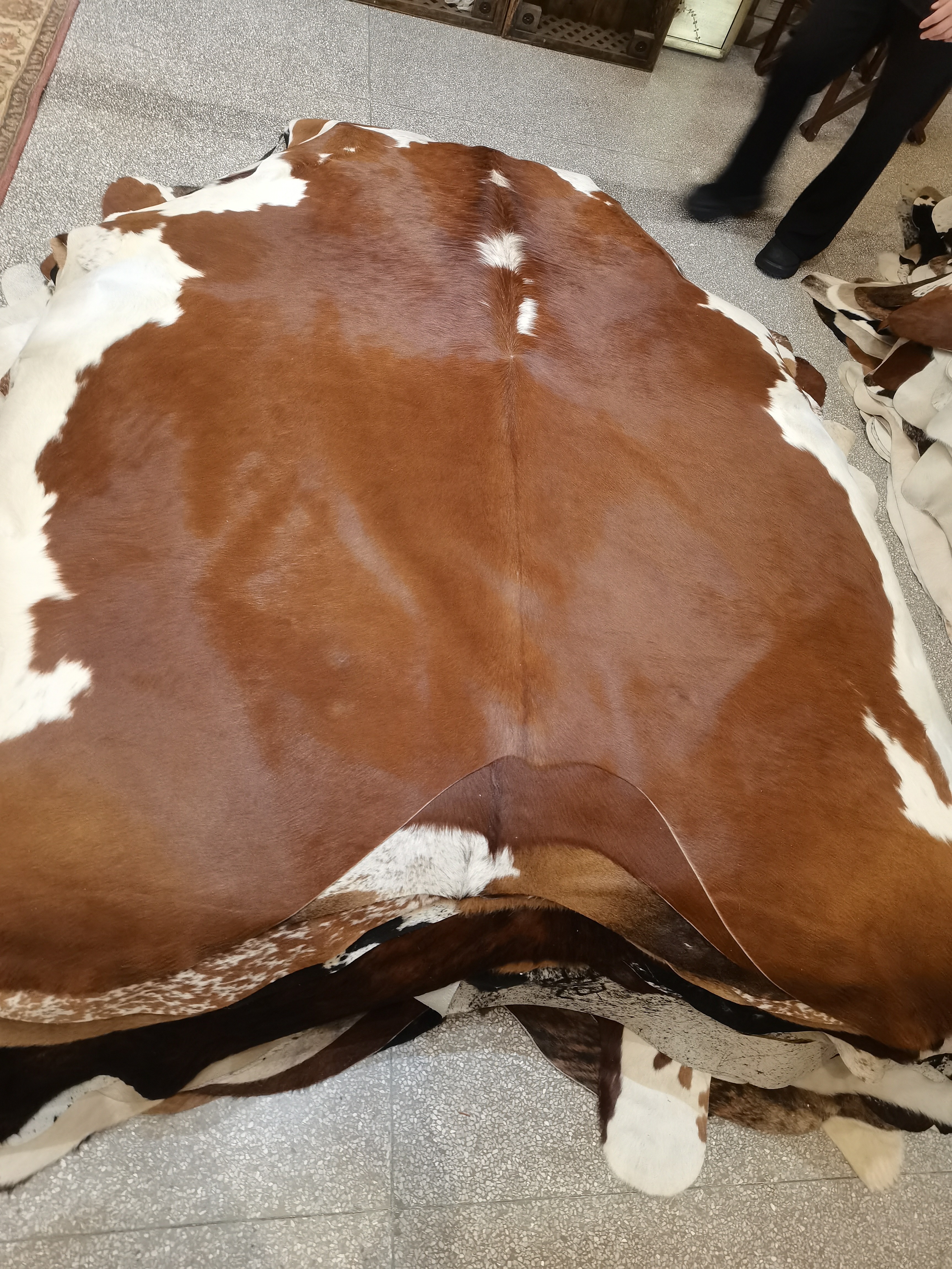 【本尼家】Z820 250*225cm专拍牛皮地毯