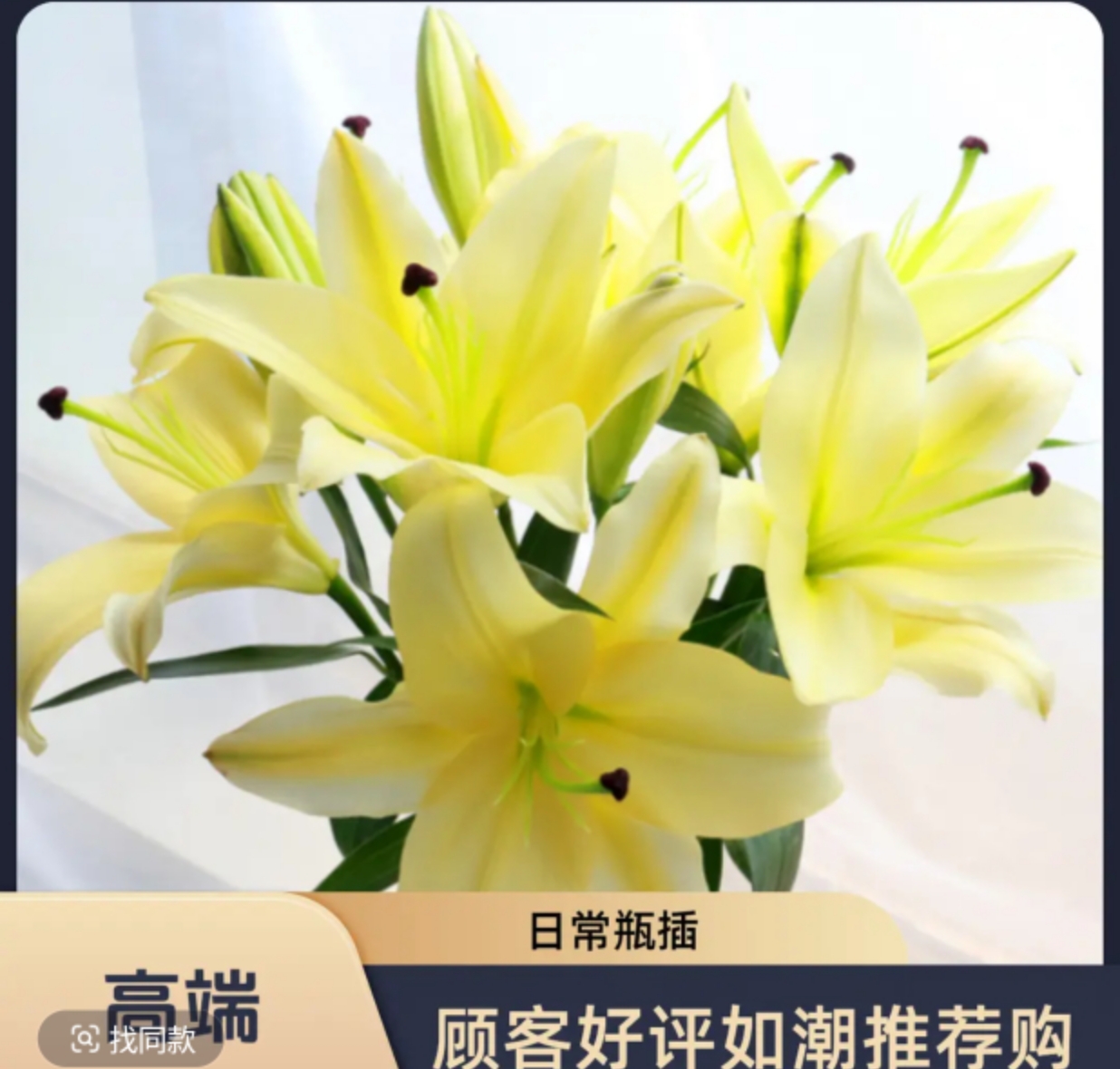 【黄天霸】香水百合花云南鲜切花基地直发云茉花卉