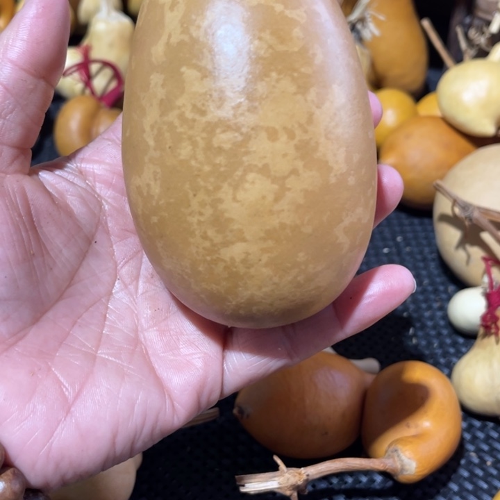 R***9葫芦葫哈哈哈哈哈哈哈哈