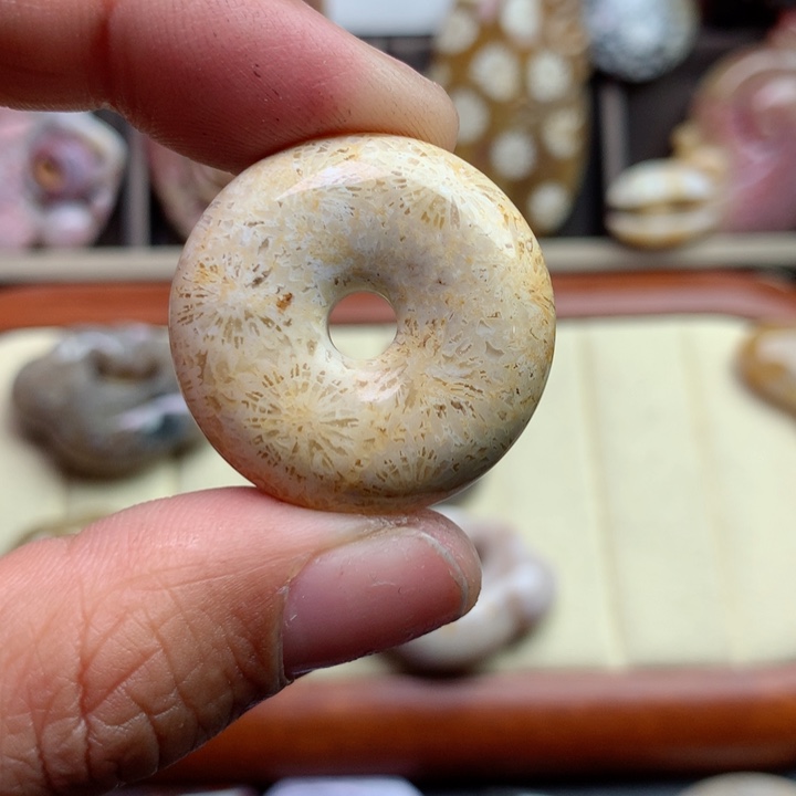 硅化珊瑚（珊瑚玉）颈饰未镶嵌