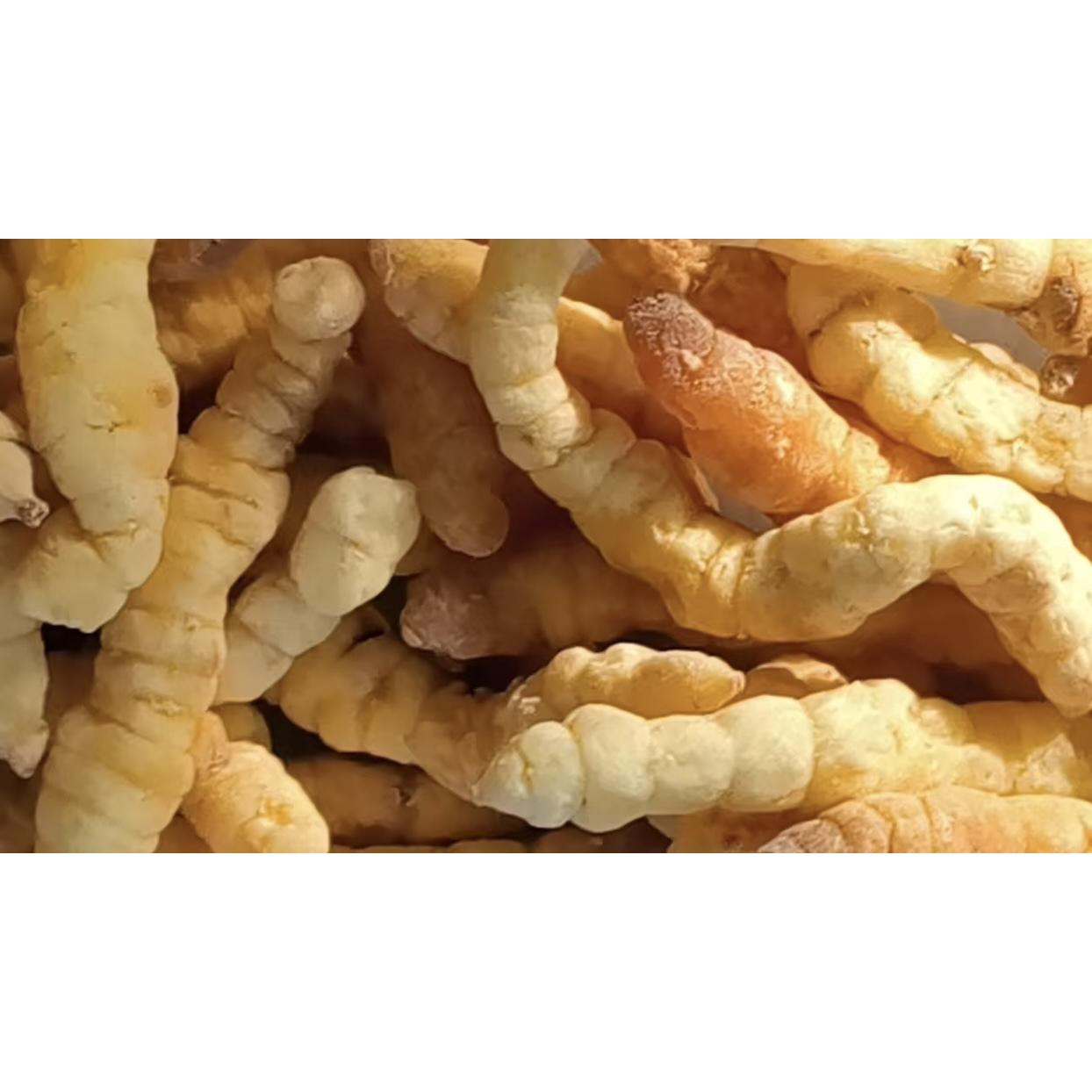 邱正新农人-天蚕金虫