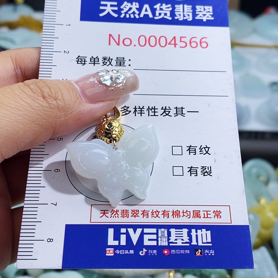 翡翠未镶嵌颈饰4566