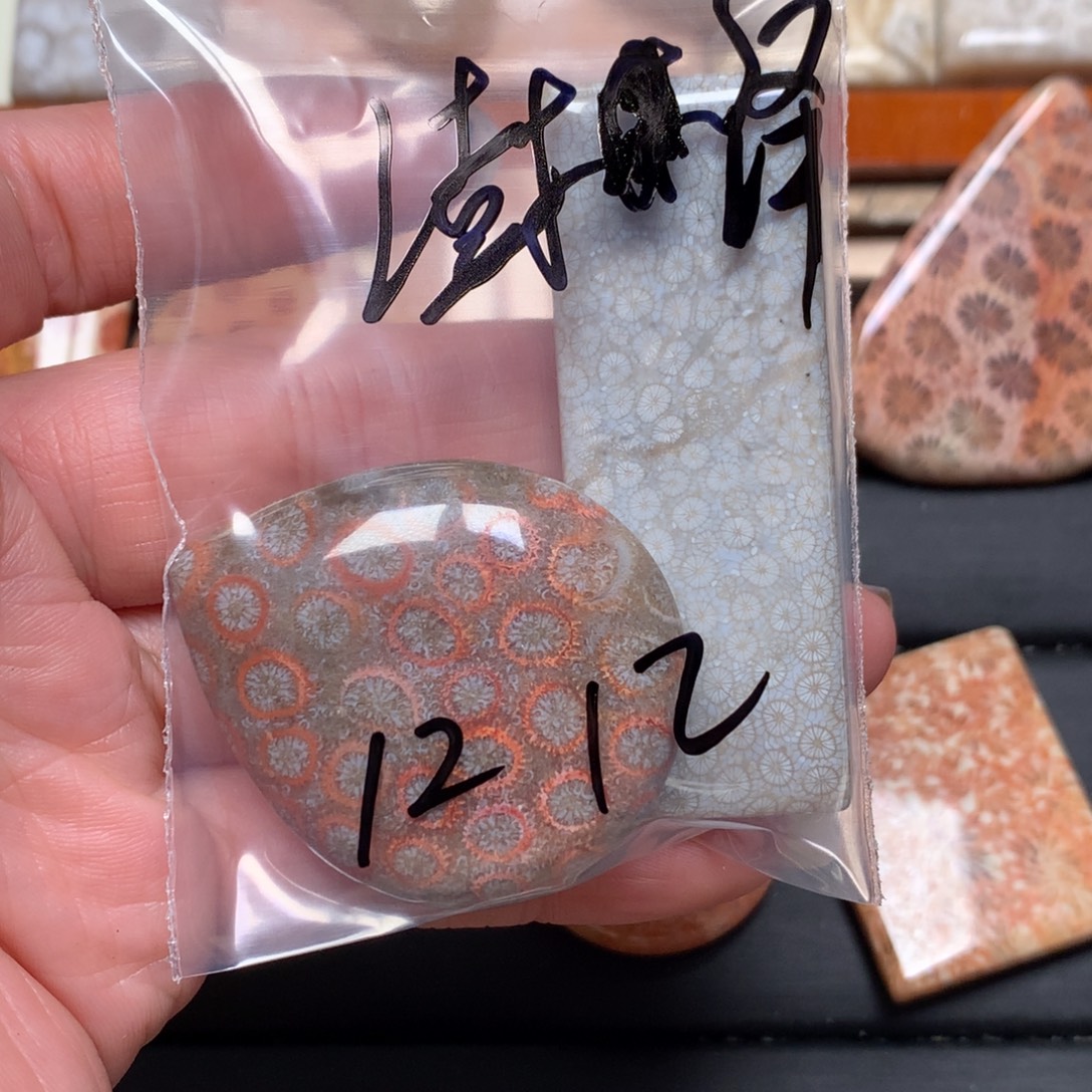 澍***木硅化玉未镶嵌吊坠无事牌手排平安扣