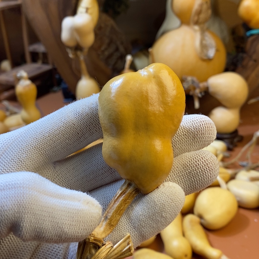 璞***緣教练教练教练教练啦