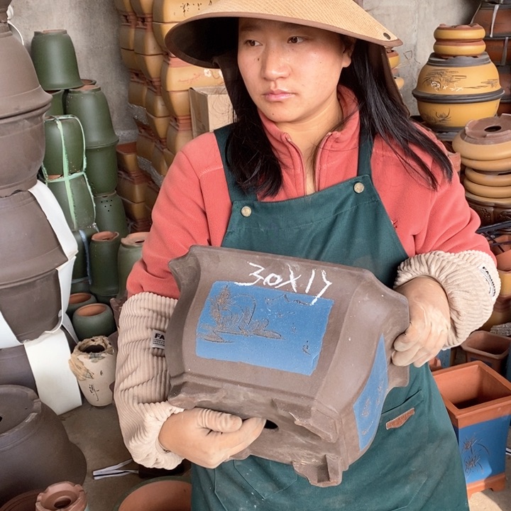 紫砂花盆盆栽花卉苗木种植