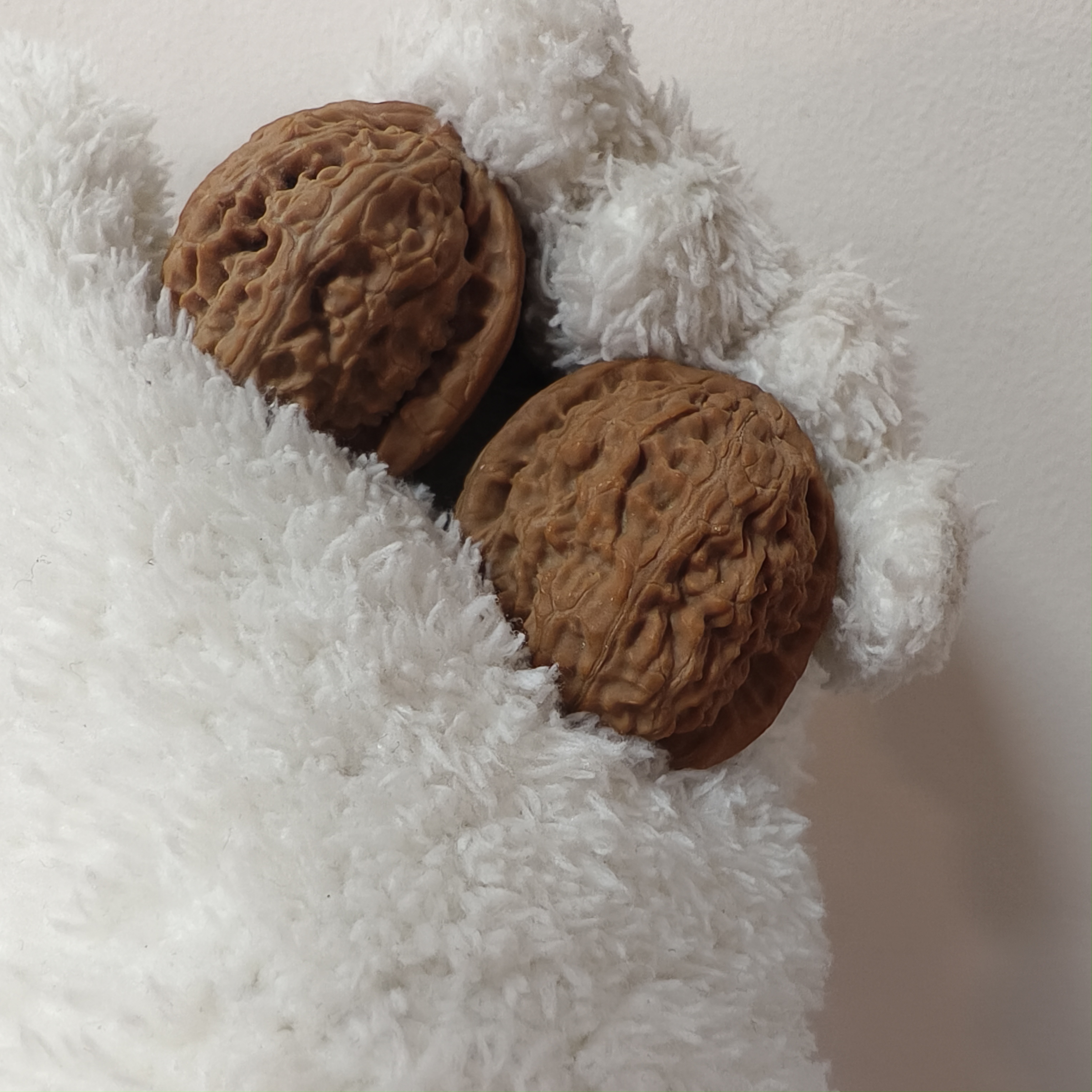 S7983【白狮子】文玩核桃手把件