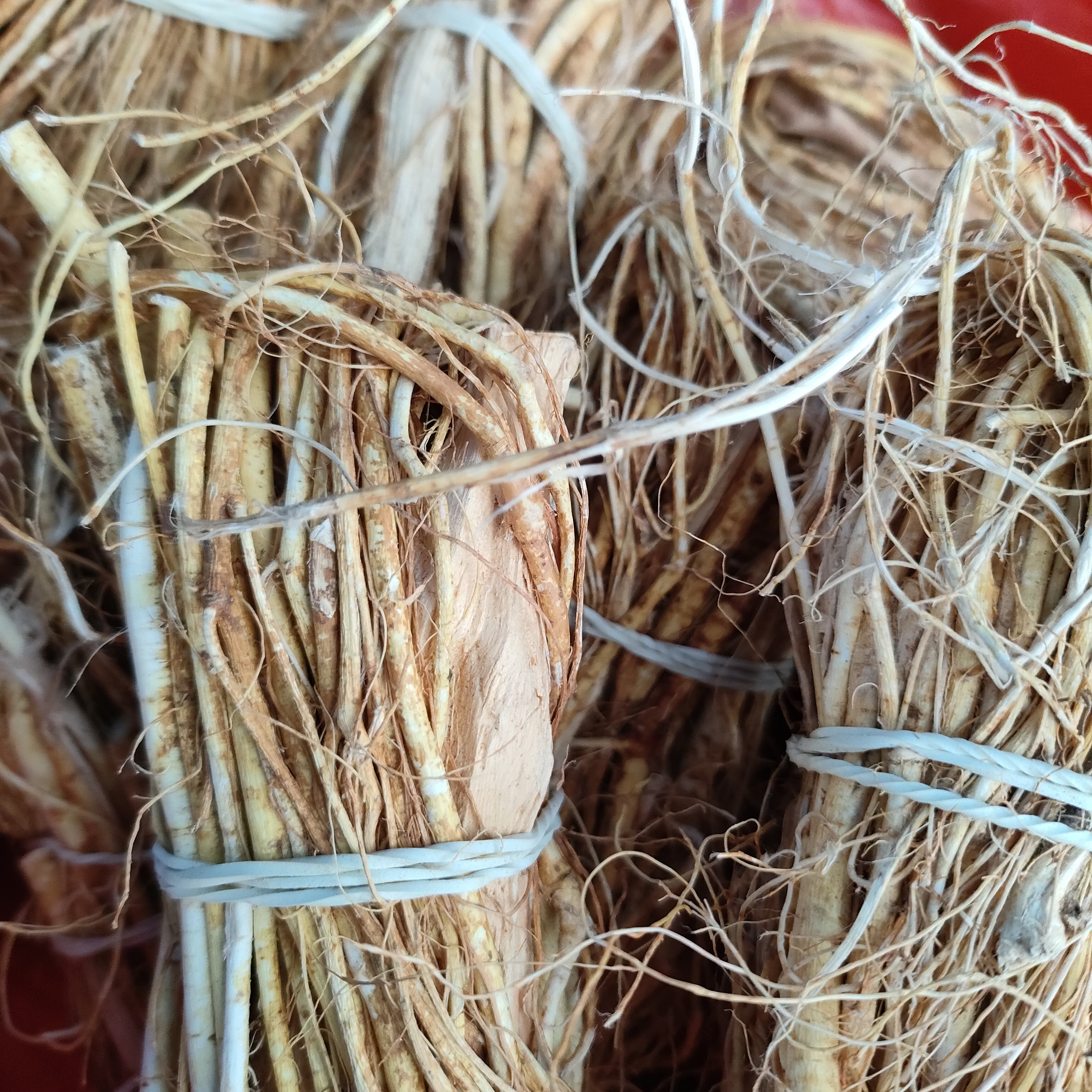 正宗罗城仫佬族野生五指毛桃鸡骨草牛大力黄芪