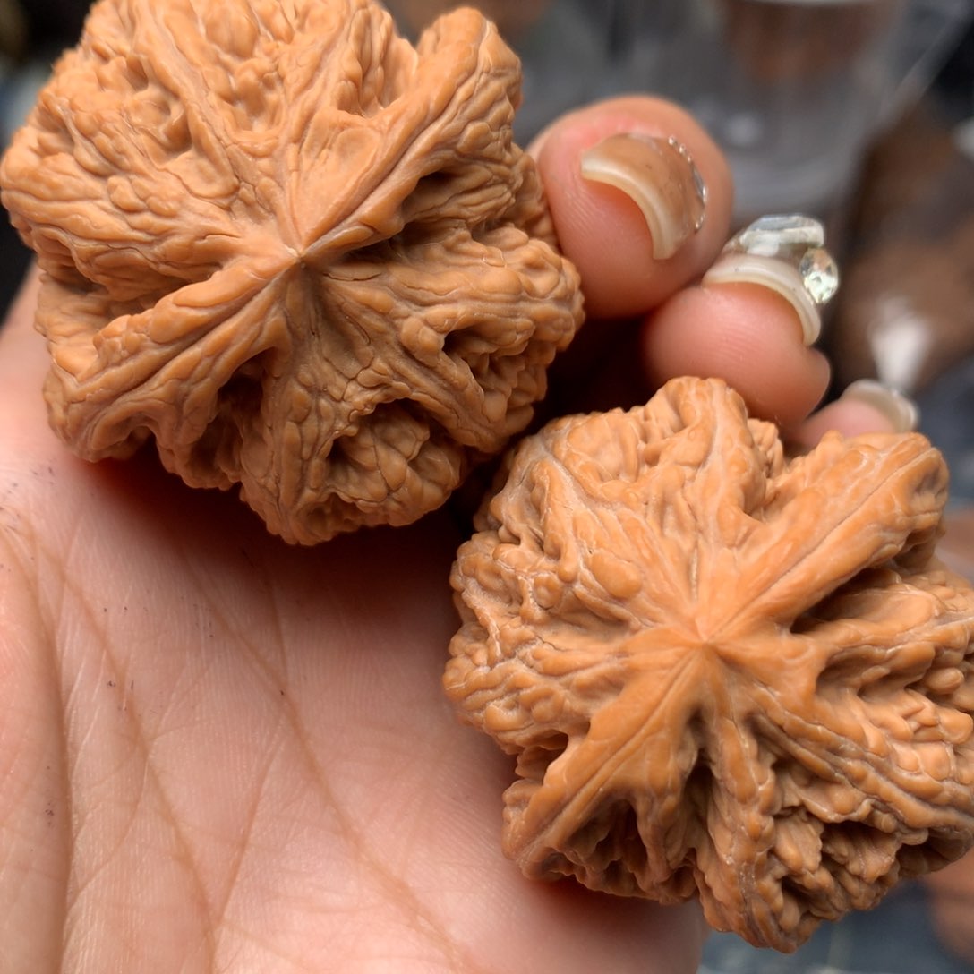 【闪购商品】文玩核桃把件43-5530-6