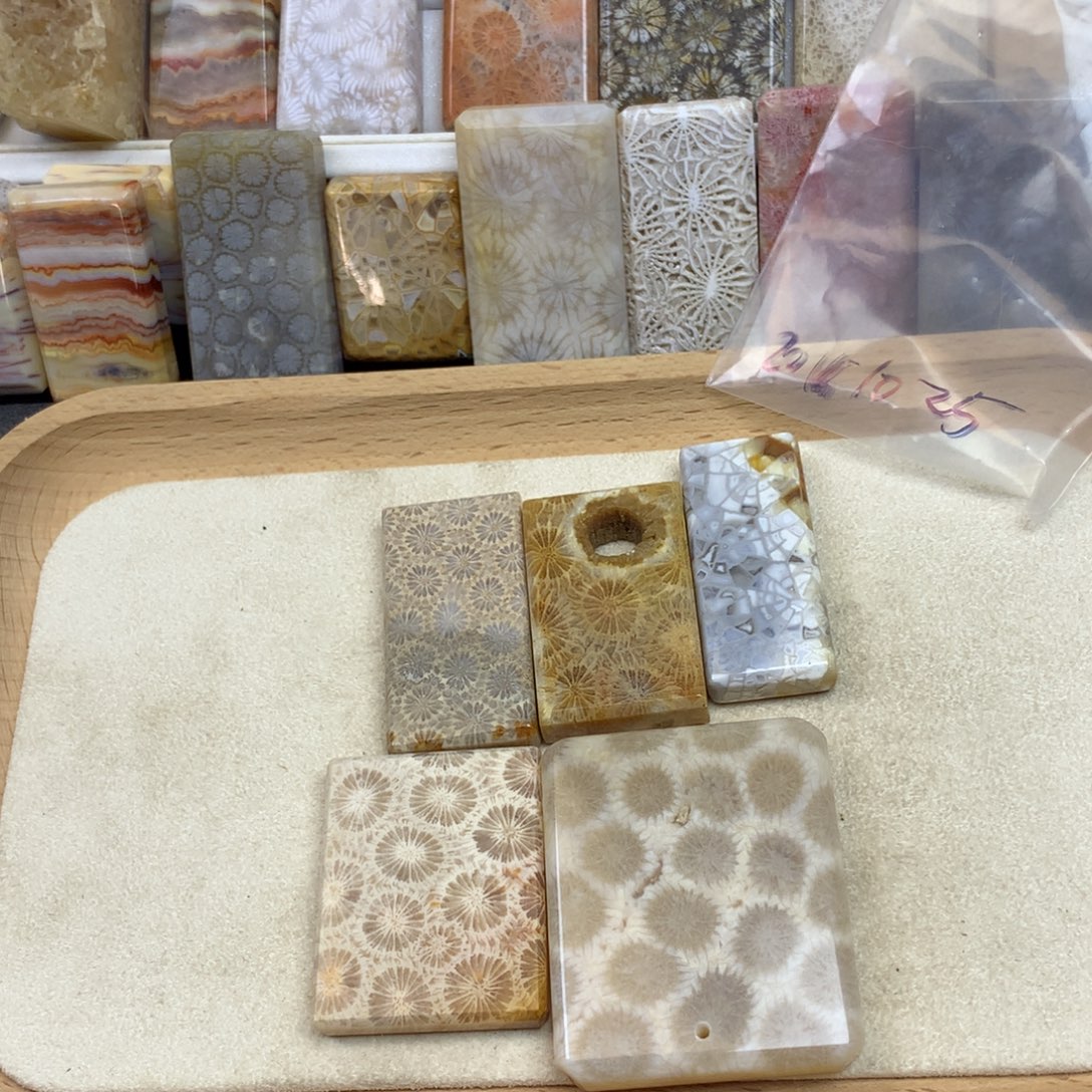 硅化珊瑚（珊瑚玉）未镶嵌珠宝奇石