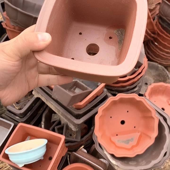 紫砂哈哈真的是太