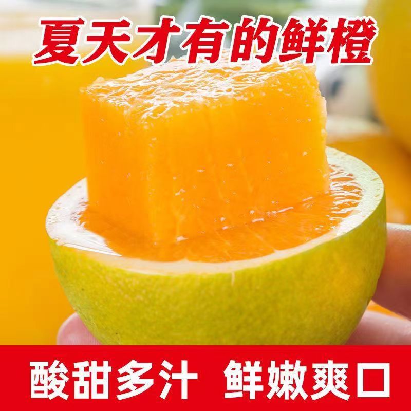 不二湘西夏橙橙子正宗夏橙当季新鲜青黄果高山水果酸甜现摘现发