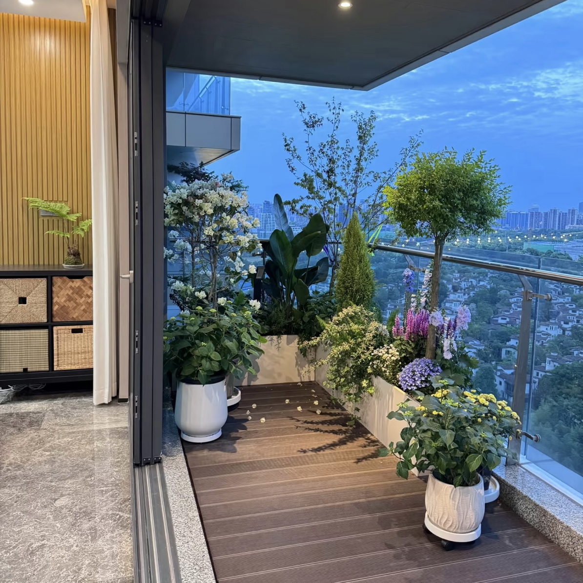 阳台绿植造景好养吸甲醛净化空气四季常青