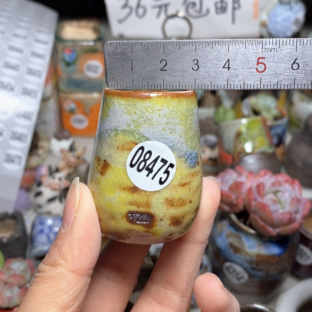 土***?花盆，拍5送一个小礼物