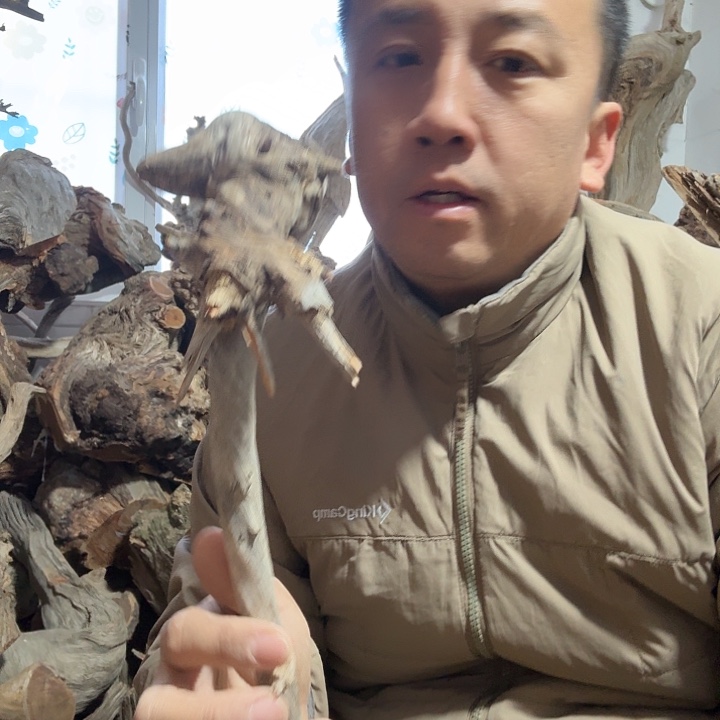 萌***哒柏木崖柏毛料的加工