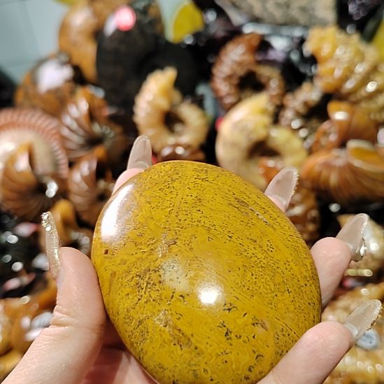 溪***觞57468456844897439