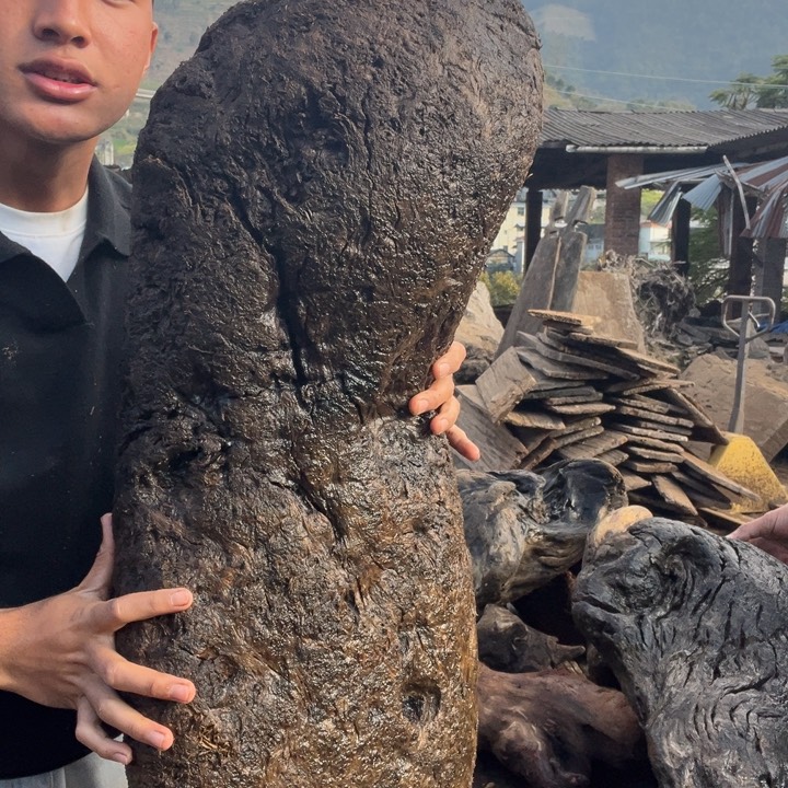 阴沉木铁栗木是原材料