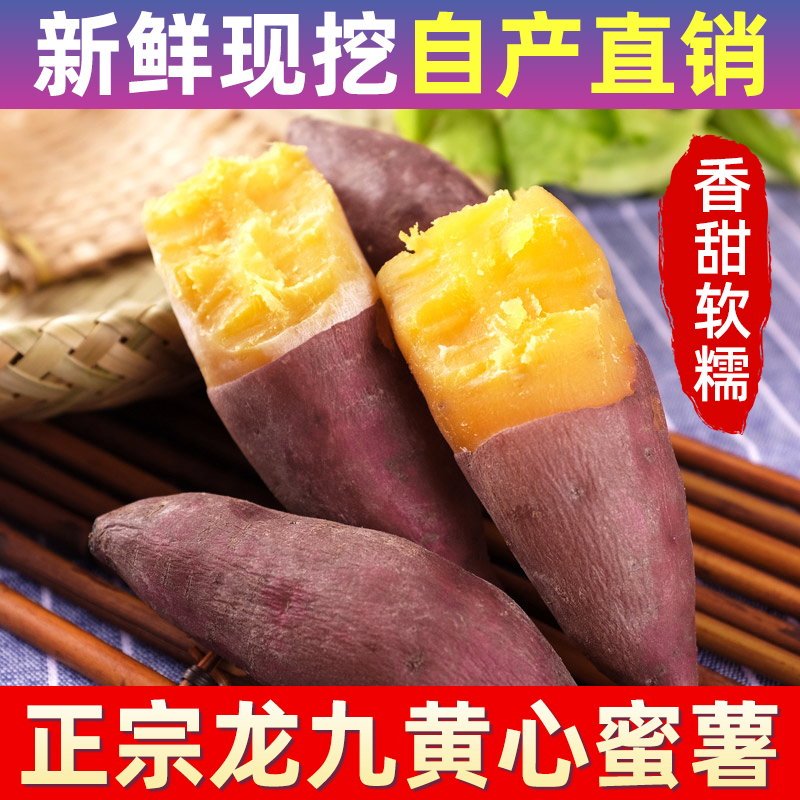  【买三斤送两斤】沙地现挖粉糯香甜正宗龙九蜜薯红薯