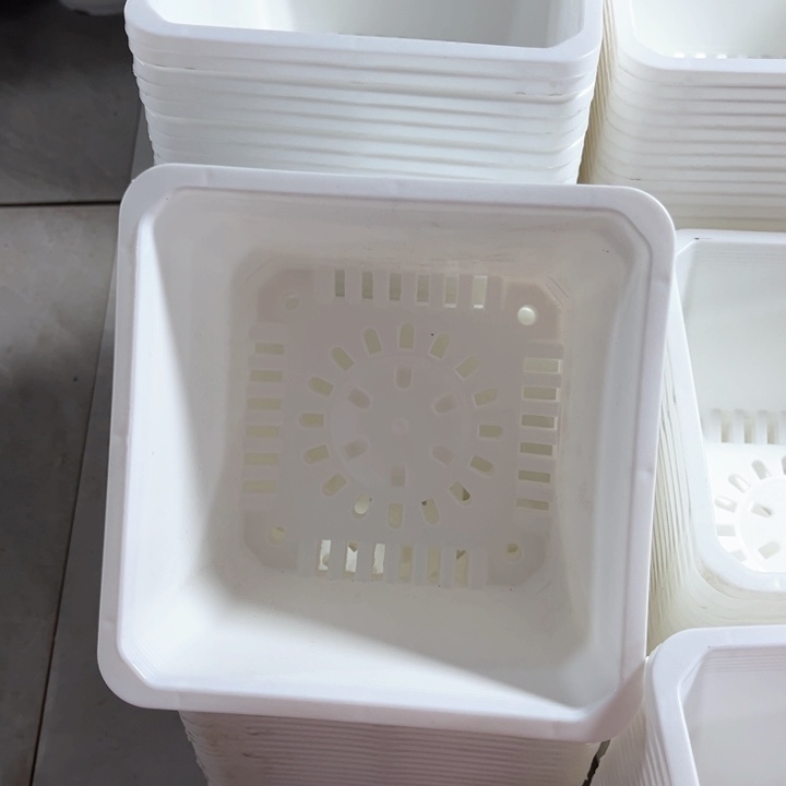 树脂白方口15高10一组10