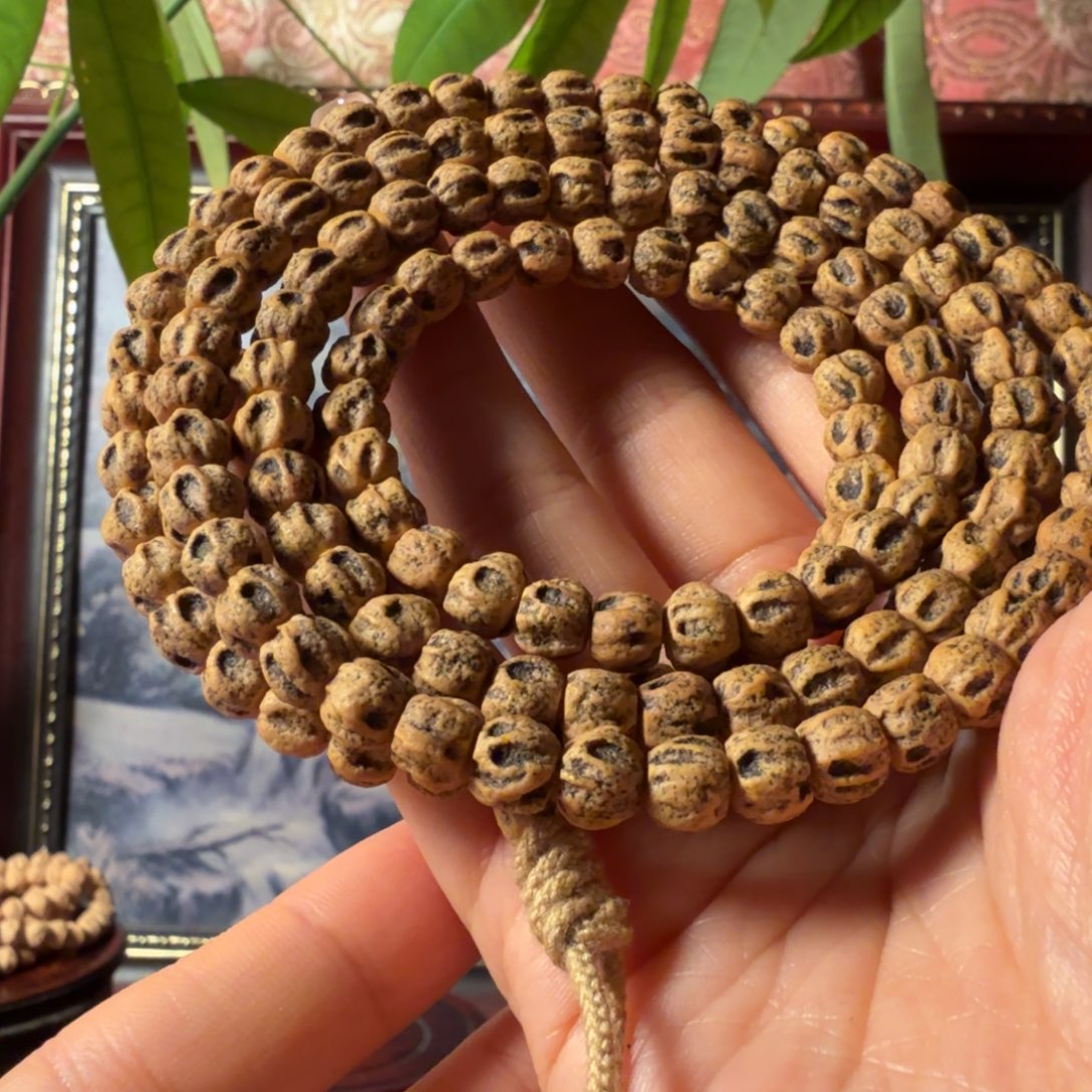 柏香籽/百香籽手串