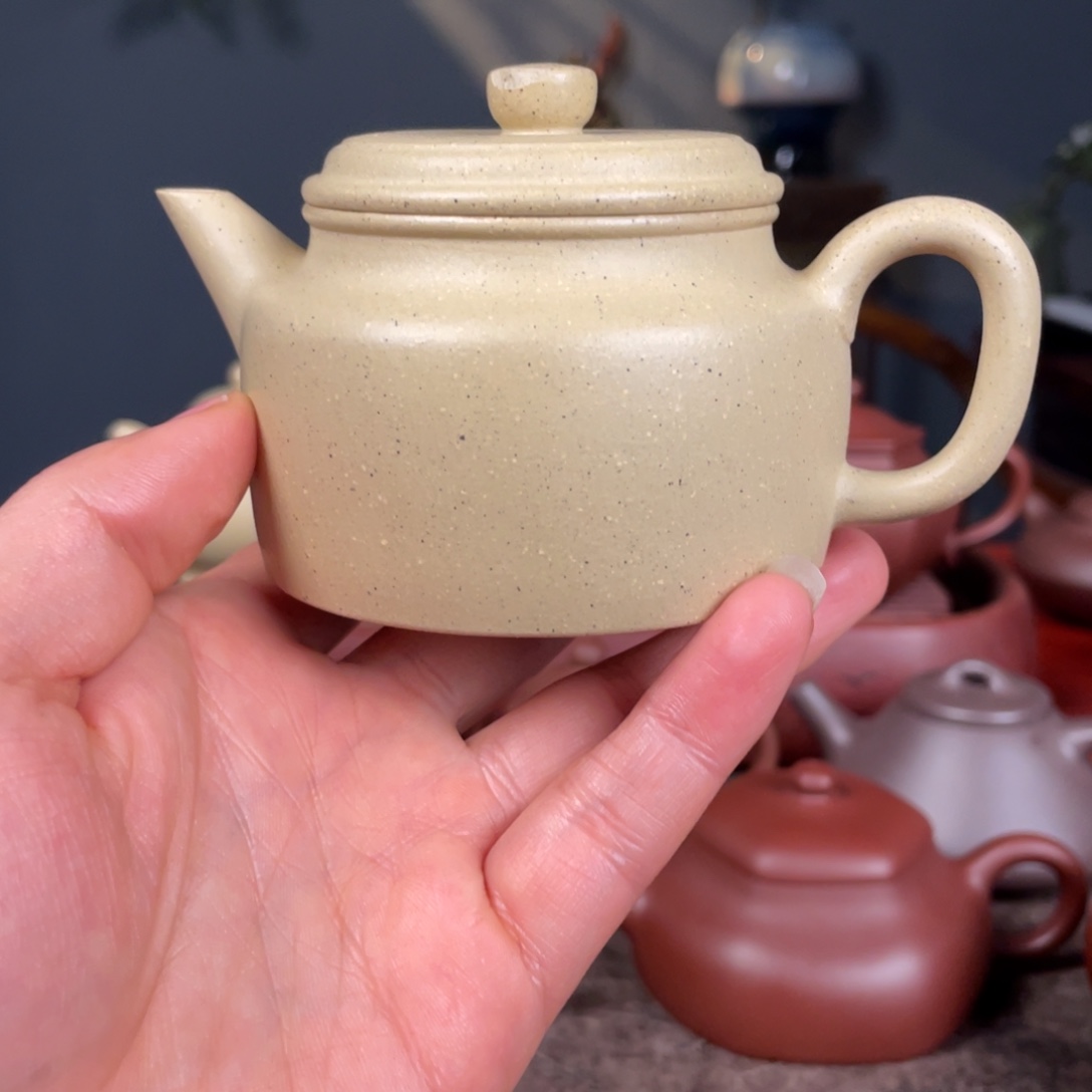 ****怪茶壶紫砂陈小平18581