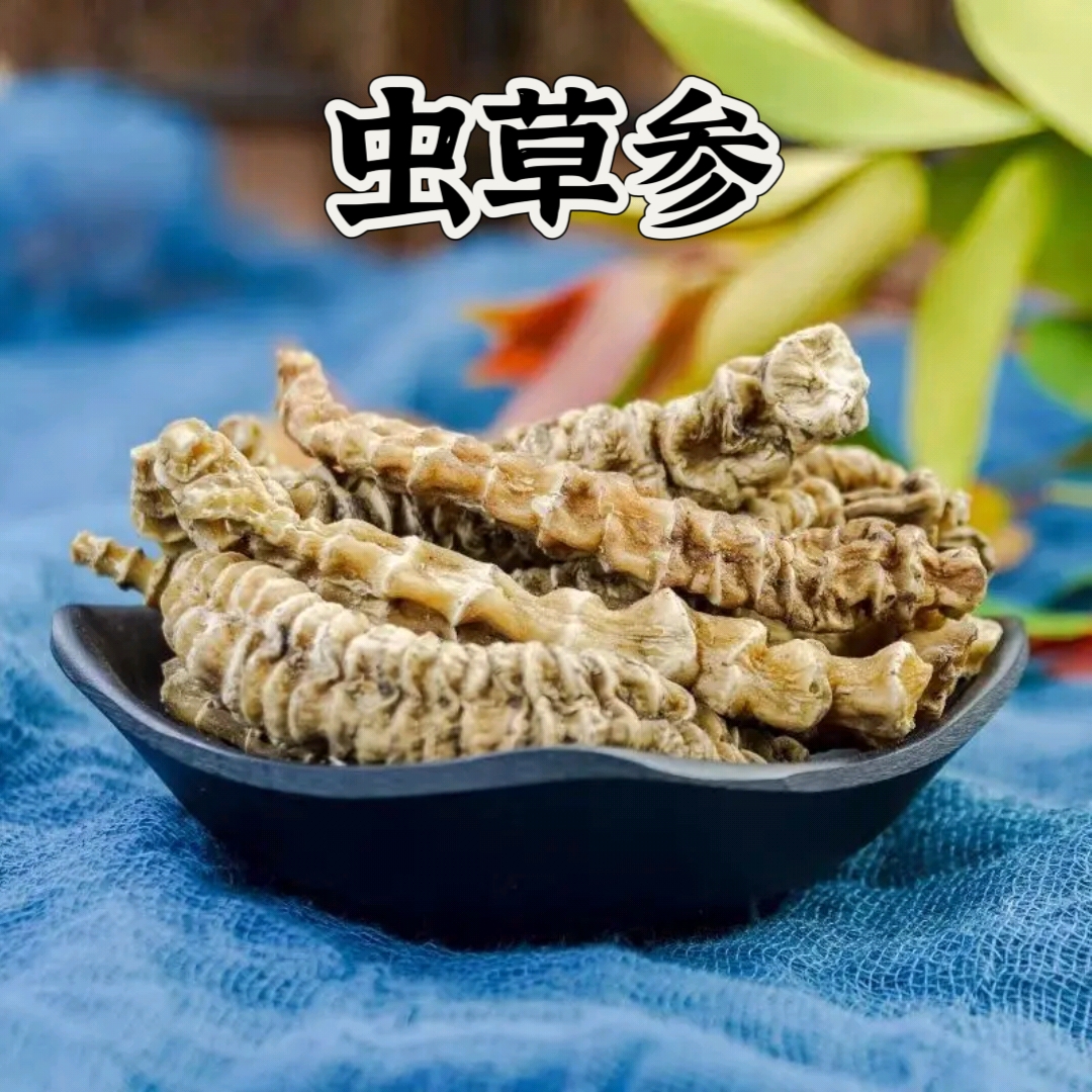 鑫佰草【虫草参】正宗虫草参煲汤 地参 竹节参可搭配枸杞泡水煮水