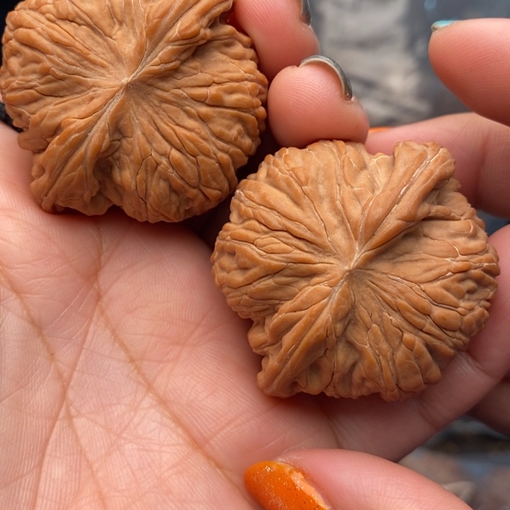 文玩核桃把件蝴蝶磨45尺核桃