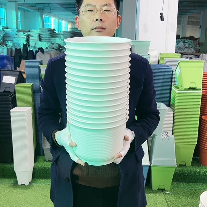 正品矮陶口24高17白色6只无托