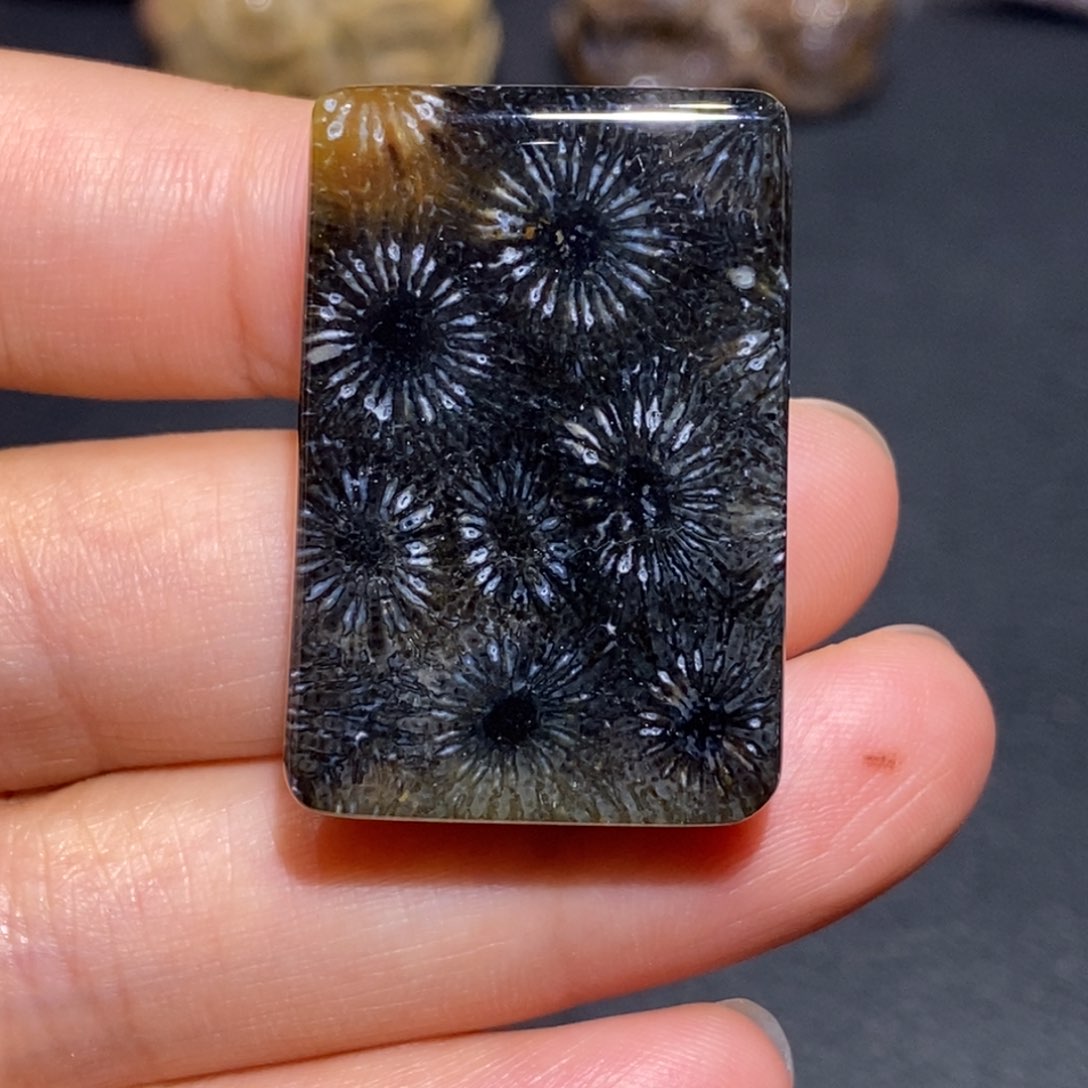 【闪购商品】未镶嵌珊瑚玉硅化玉